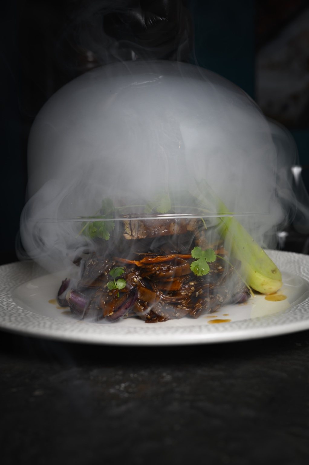 Smoking restaurant dish on a dark table — food series cover